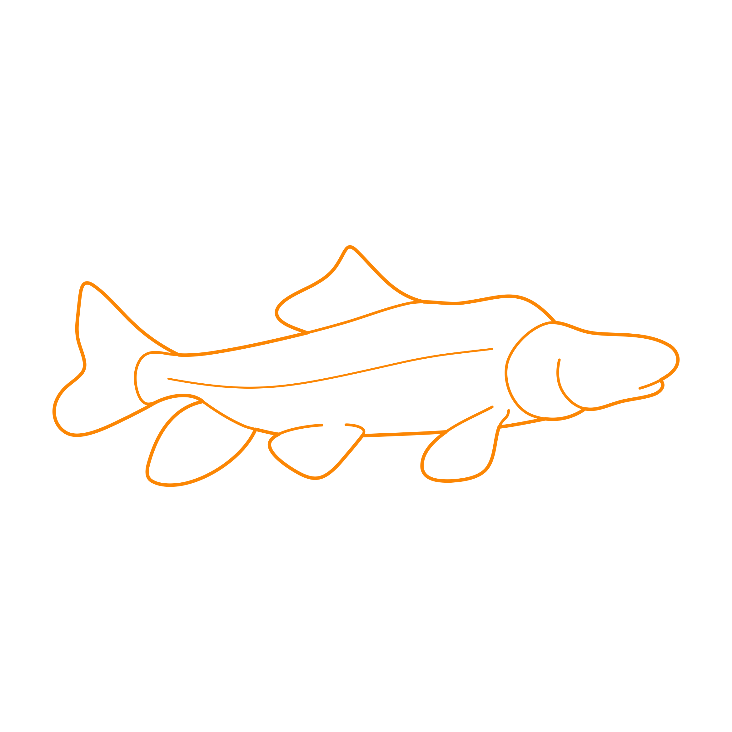 Animals Freshwater Fish Razorback Sucker Drawing Svg Vector Free Vectors